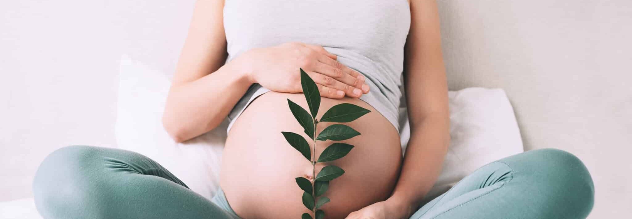 Gravid kvinde med grøn gren på maven symboliserer tryghed og vækst under graviditet.